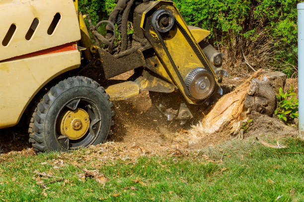 Mulching Services